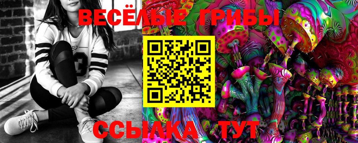 Можга  Галлюциногенные грибы Psilocybe  Галлюциногенные грибы Cubensis  Вход с VPN 