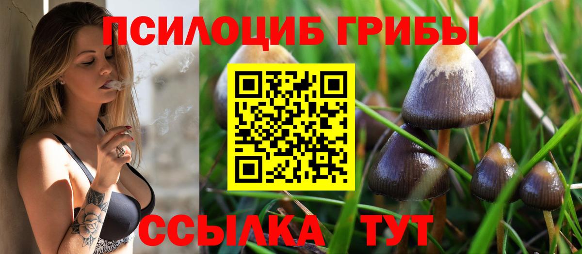 Псилоцибиновые грибы ЛСД Можга